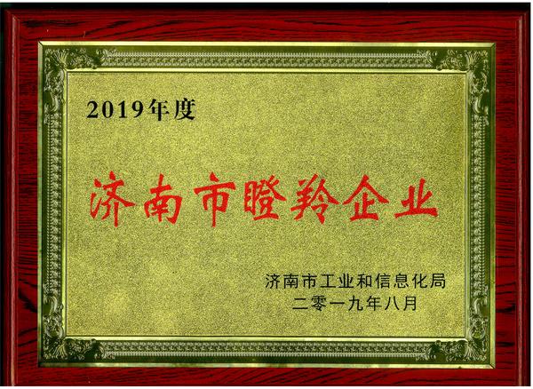 2019年度济南市瞪羚企业