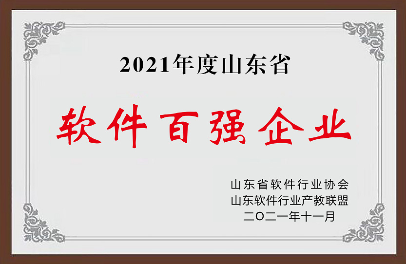 2021年度山东省软件百强企业